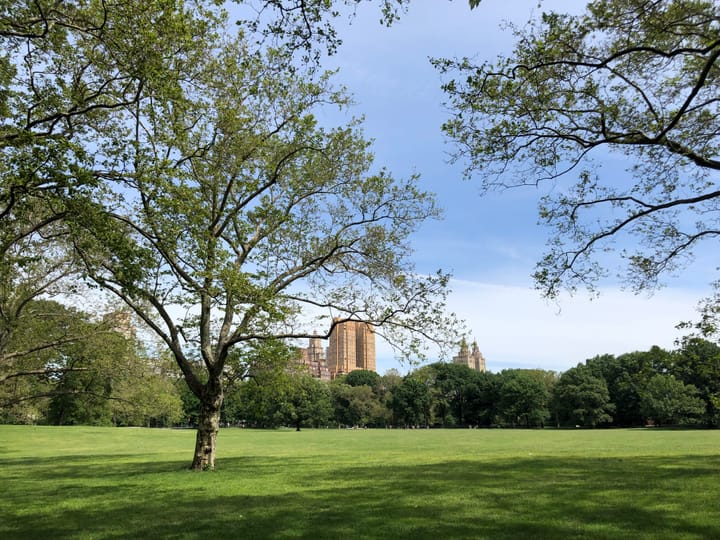 Scenic view of the New York City skyline
